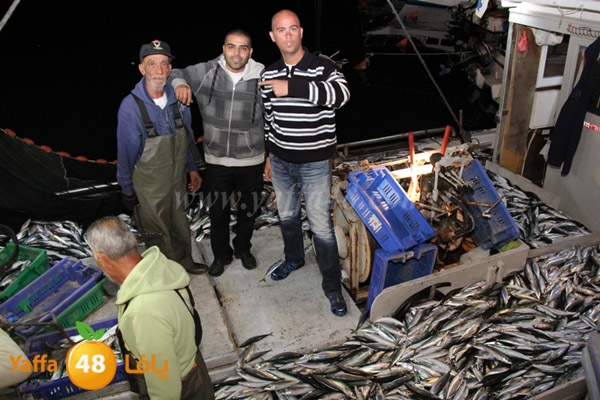 fishes in jaffa 0107 (1).JPG